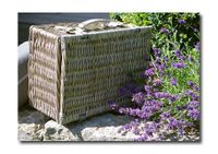 Picknickkorb-Grey-Lavendel